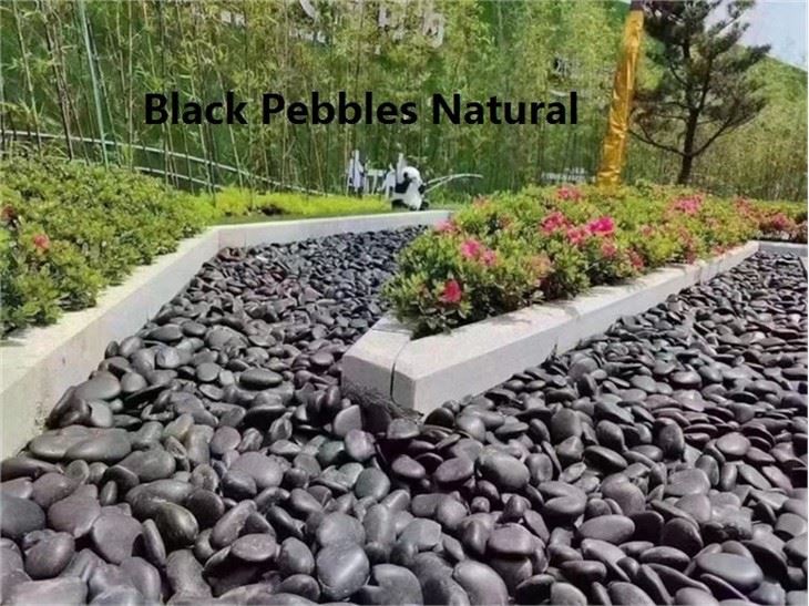 2.  black pebbles