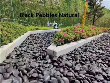 سنگریزه های باغ طبیعی